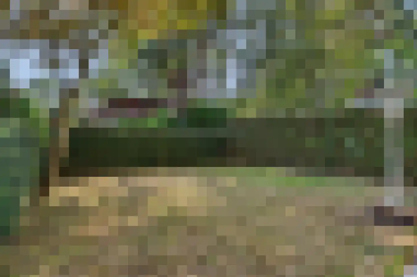 Schaluinen 11 b 288 Baarle-Nassau thumbnail 26
