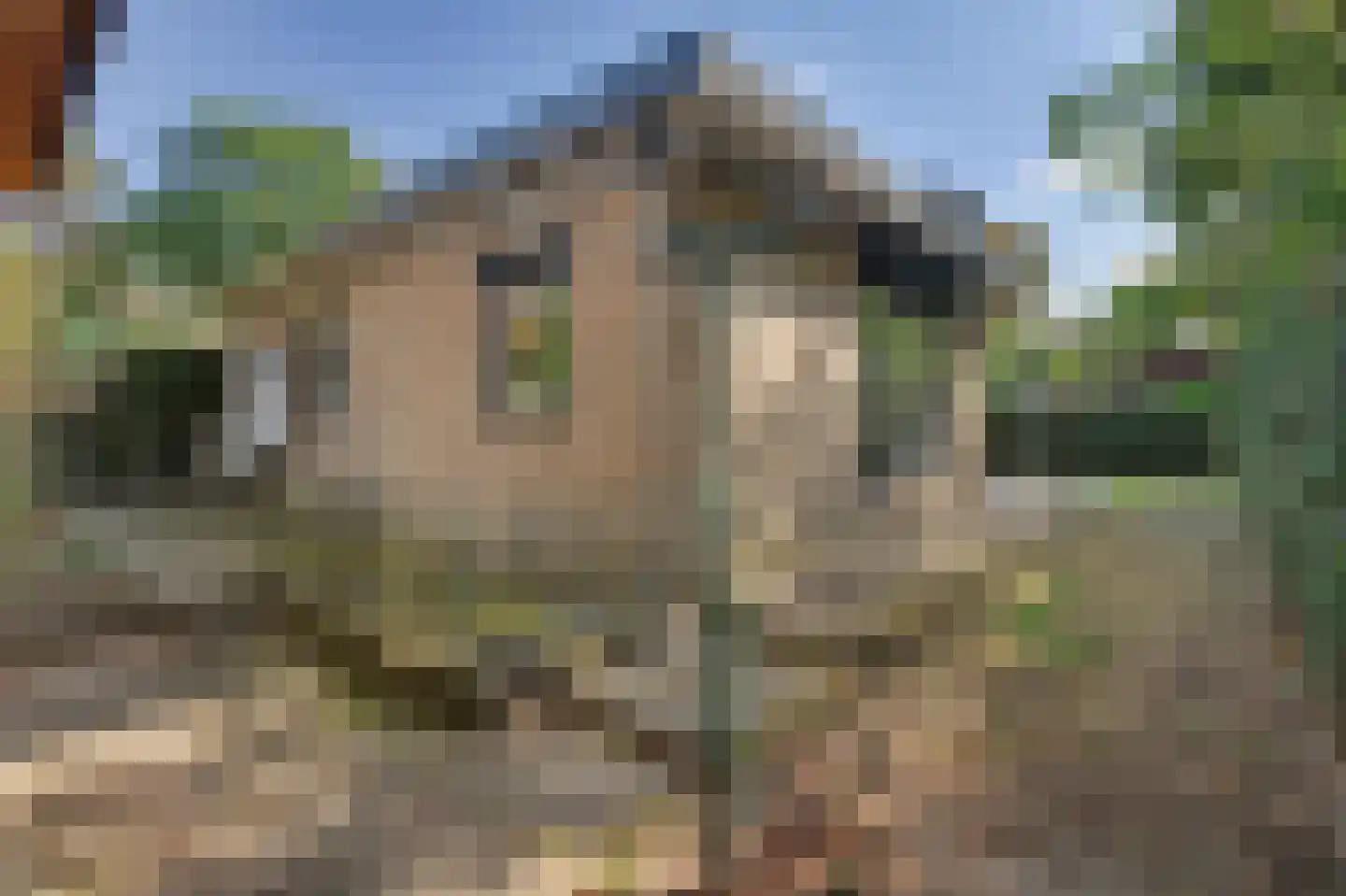 Schaluinen 11 b 288 Baarle-Nassau thumbnail 29