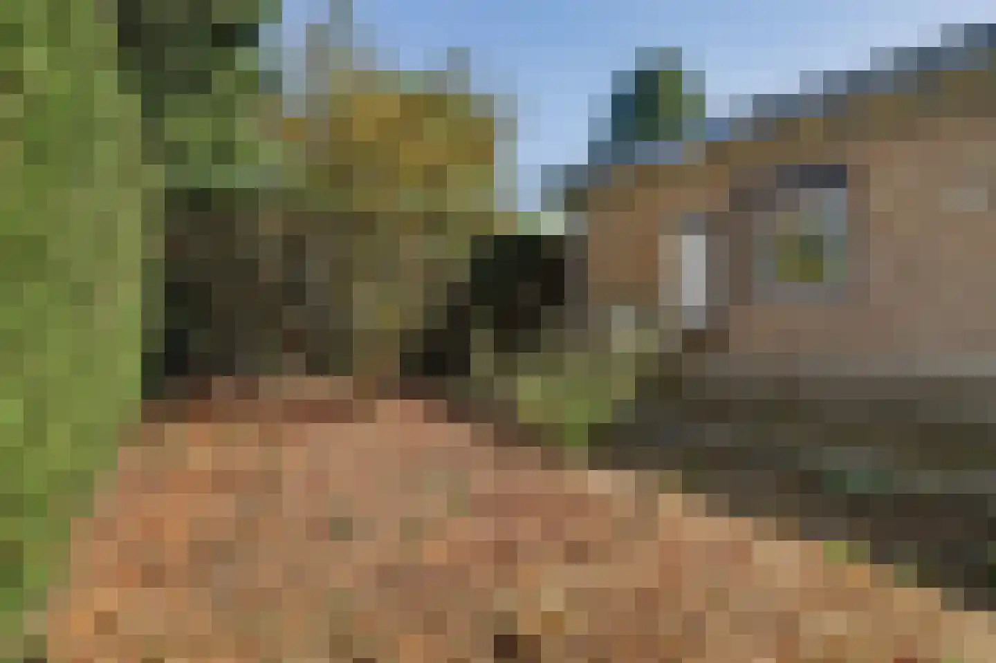 Schaluinen 11 b 288 Baarle-Nassau thumbnail 30