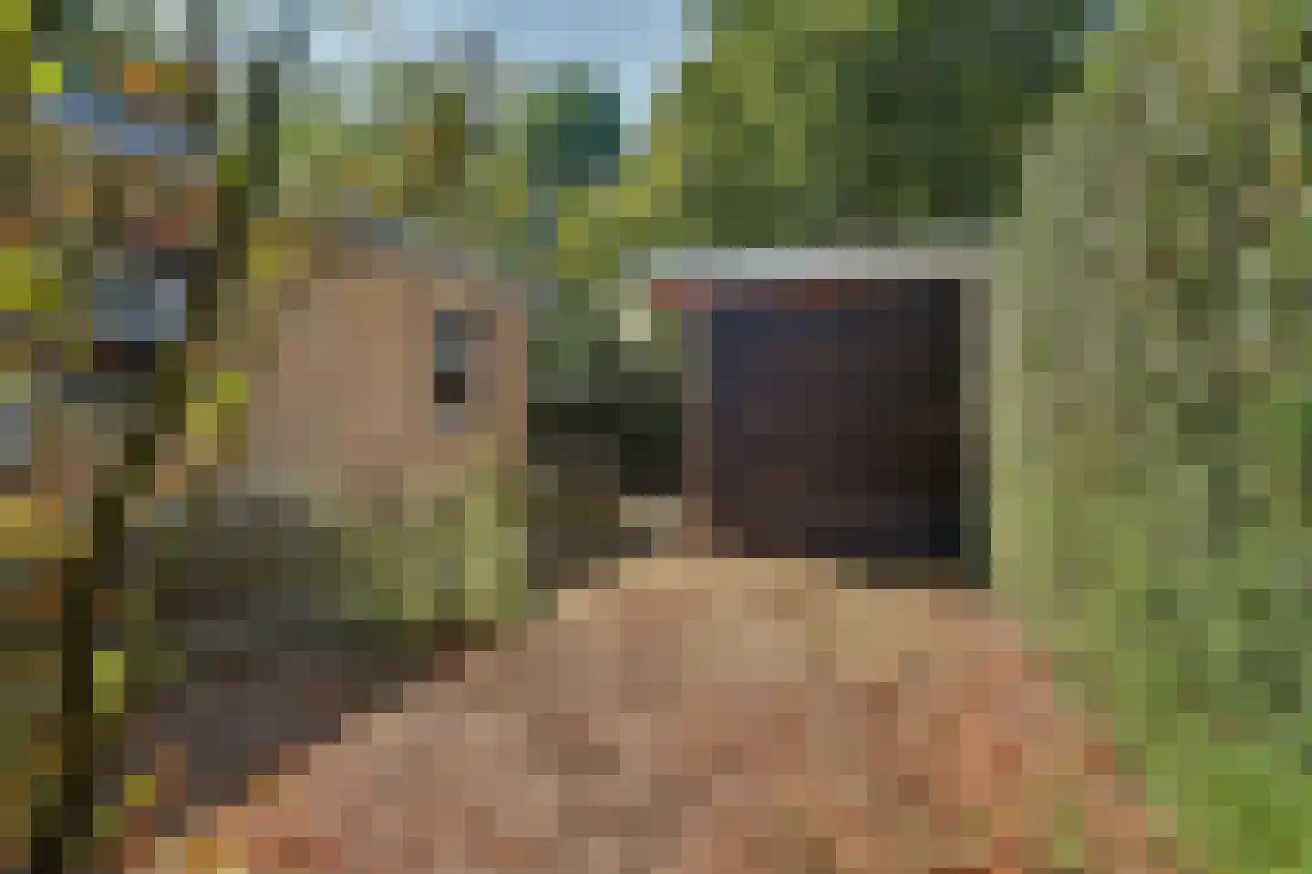 Schaluinen 11 b 288 Baarle-Nassau thumbnail 35