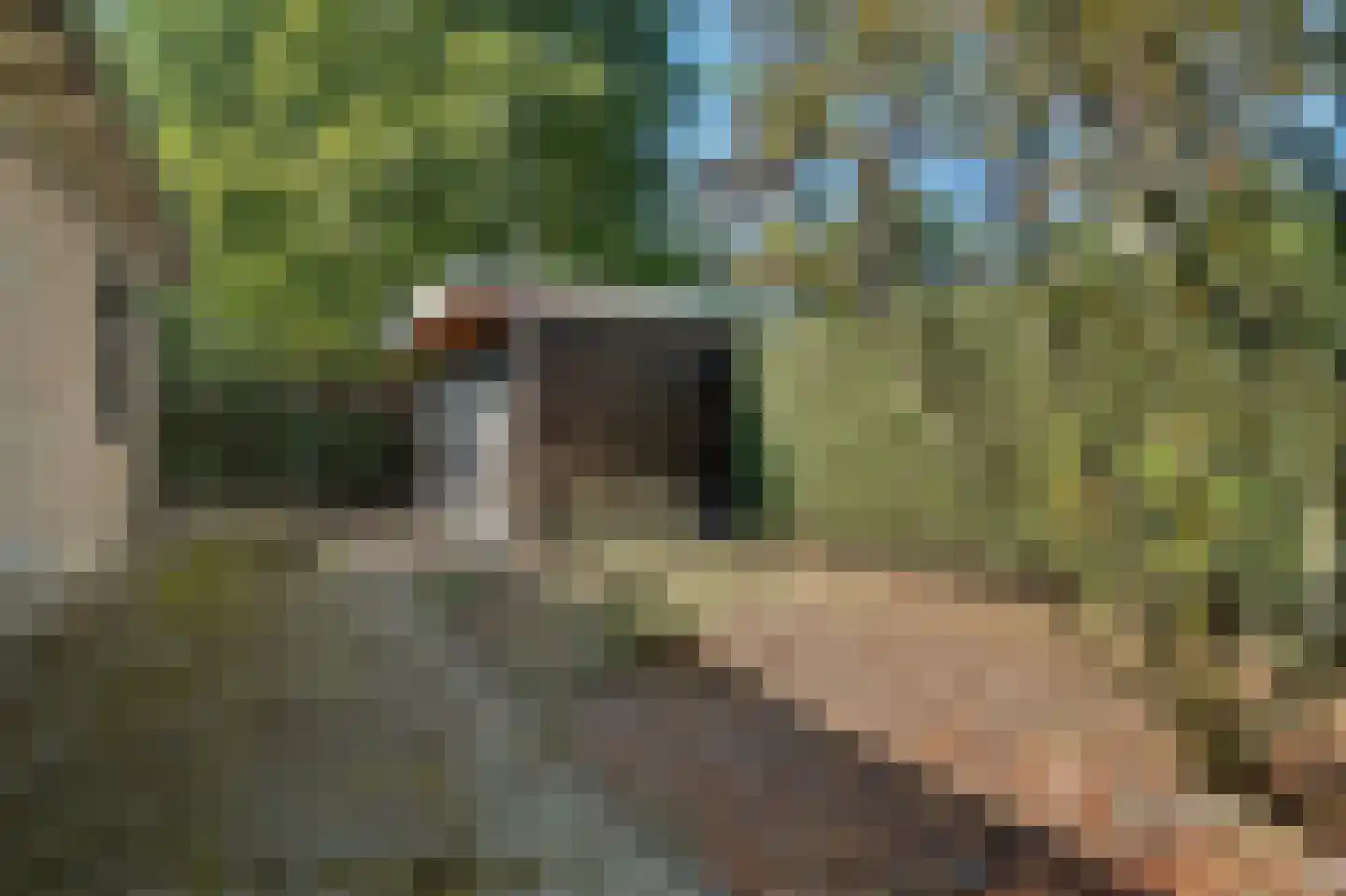 Schaluinen 11 b 288 Baarle-Nassau thumbnail 36