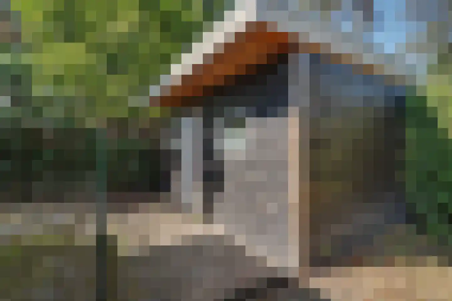 Schaluinen 11 b 288 Baarle-Nassau thumbnail 37