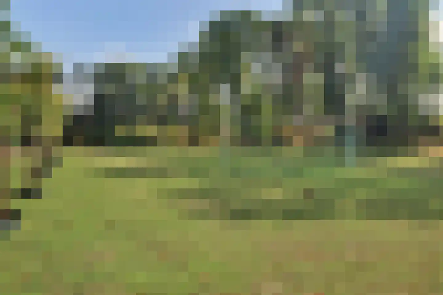 Schaluinen 11 b 288 Baarle-Nassau thumbnail 48