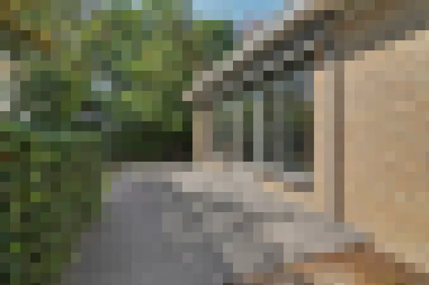Schaluinen 11 b 288 Baarle-Nassau thumbnail 6