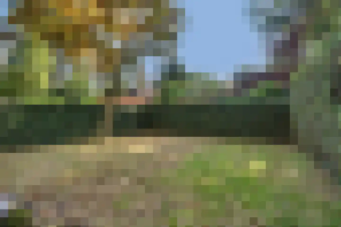 Schaluinen 11 b 288 Baarle-Nassau thumbnail 7