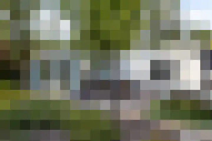 Schaluinen 11 b 297 Baarle-Nassau thumbnail 32