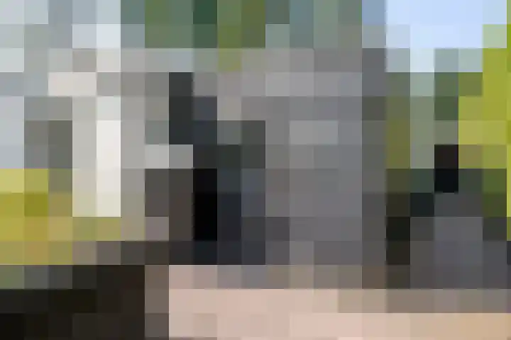 Schaluinen 11 b 297 Baarle-Nassau thumbnail 37