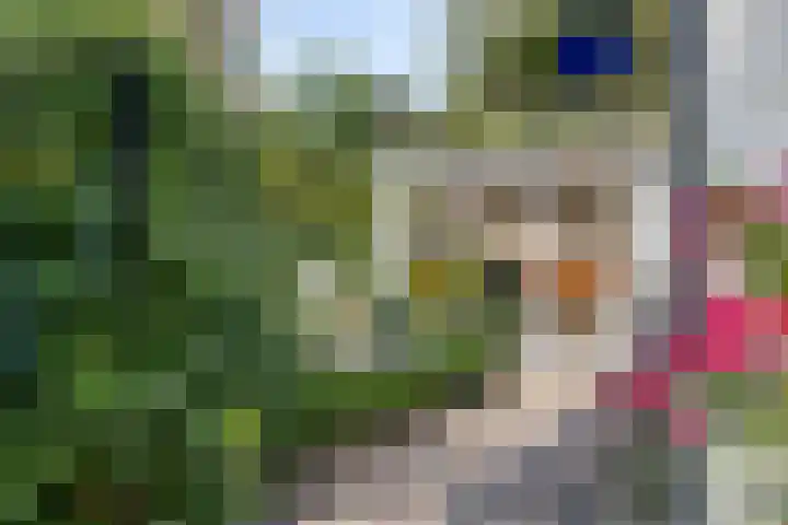 Schaluinen 11 b 297 Baarle-Nassau thumbnail 4