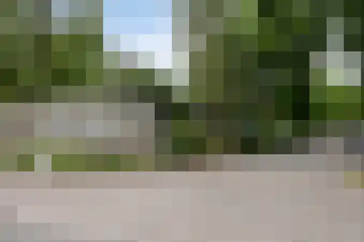 Schaluinen 11 b 297 Baarle-Nassau thumbnail 40