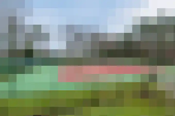 Schaluinen 11 b 297 Baarle-Nassau thumbnail 45