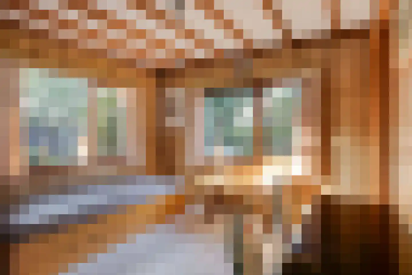 Schaluinen 11 b 298 Baarle-Nassau thumbnail 17