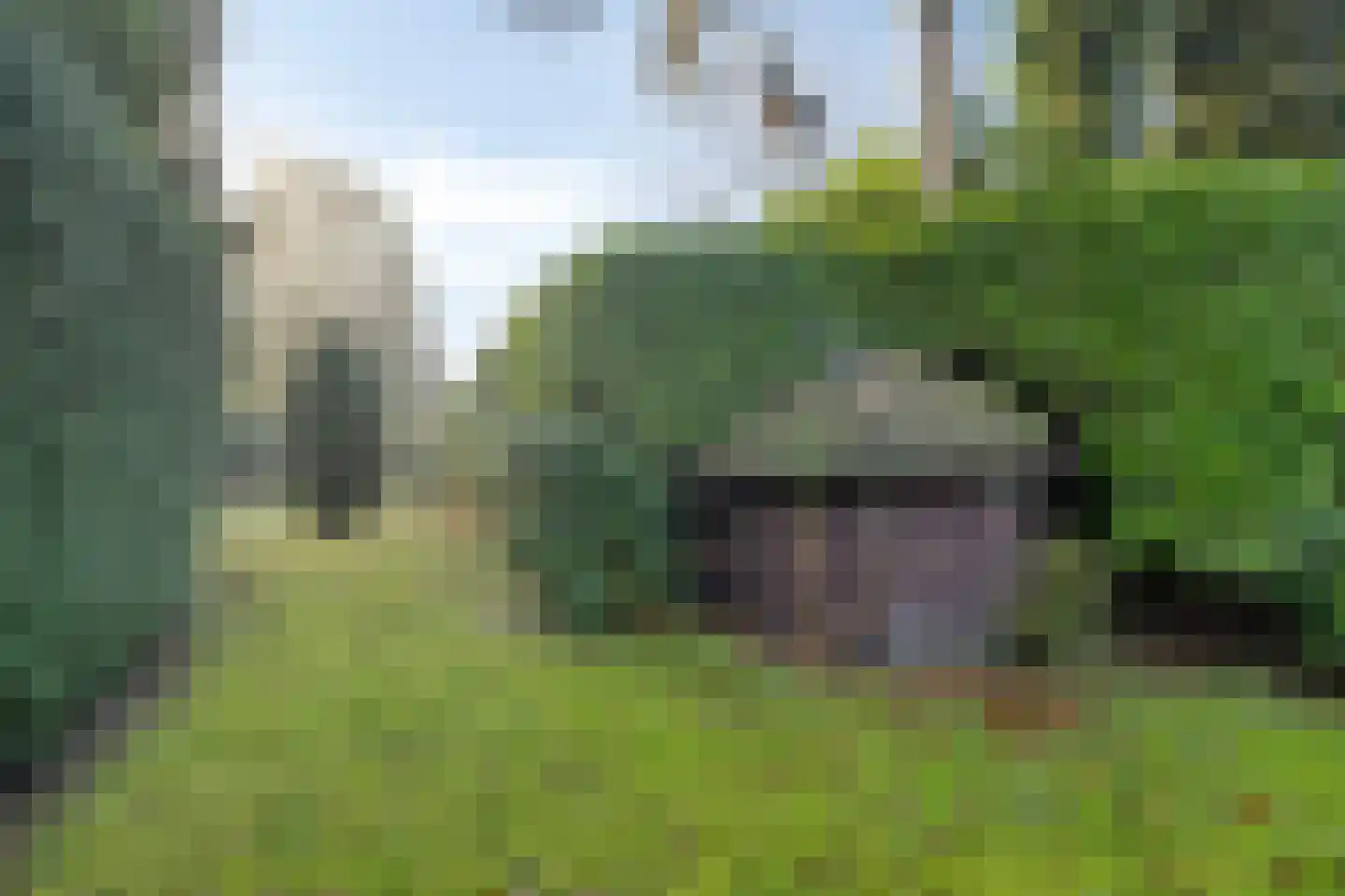 Schaluinen 11 b 298 Baarle-Nassau thumbnail 31