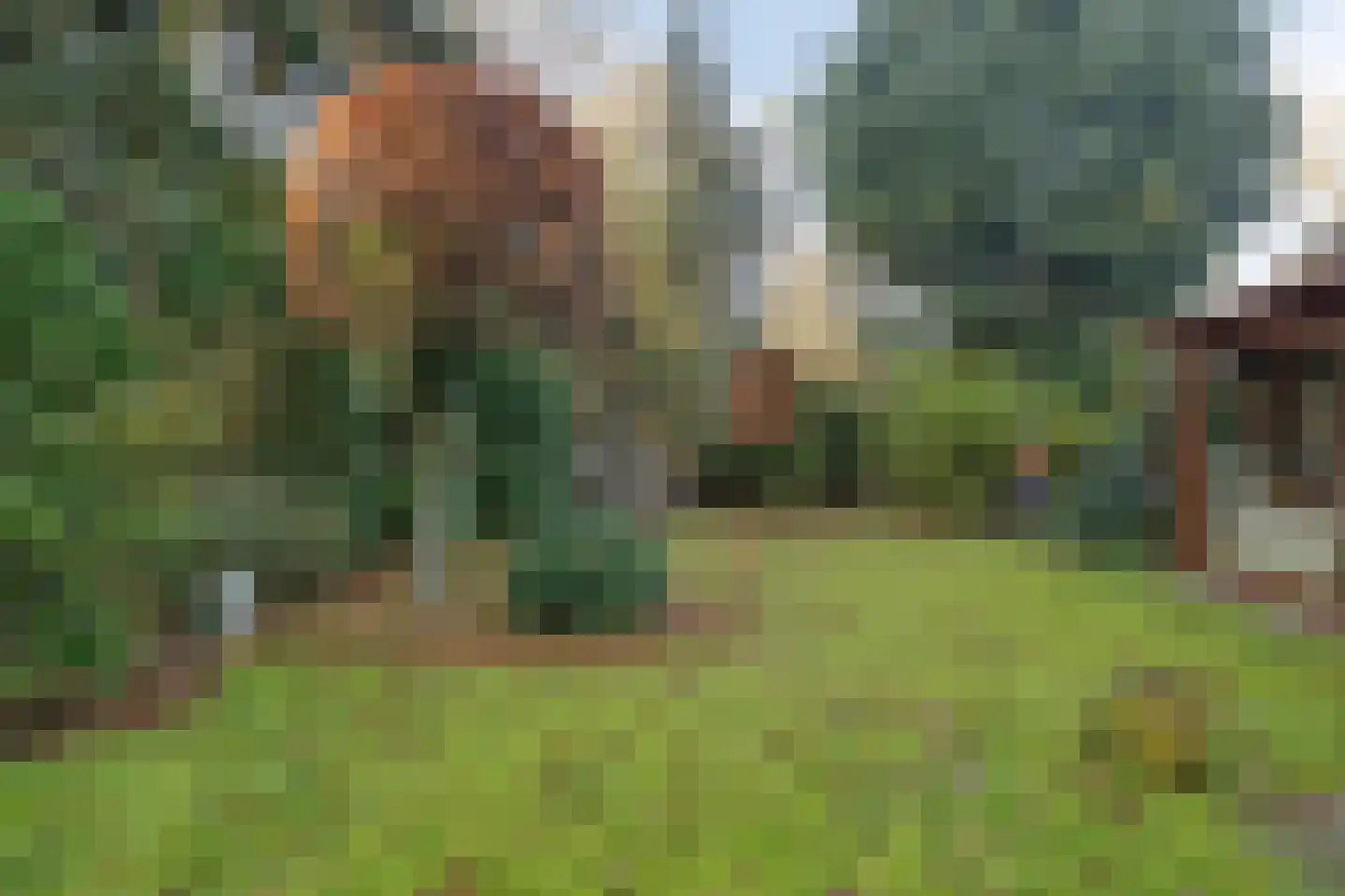 Schaluinen 11 b 298 Baarle-Nassau thumbnail 33