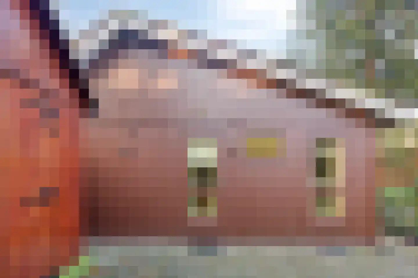 Schaluinen 11 b 298 Baarle-Nassau thumbnail 5