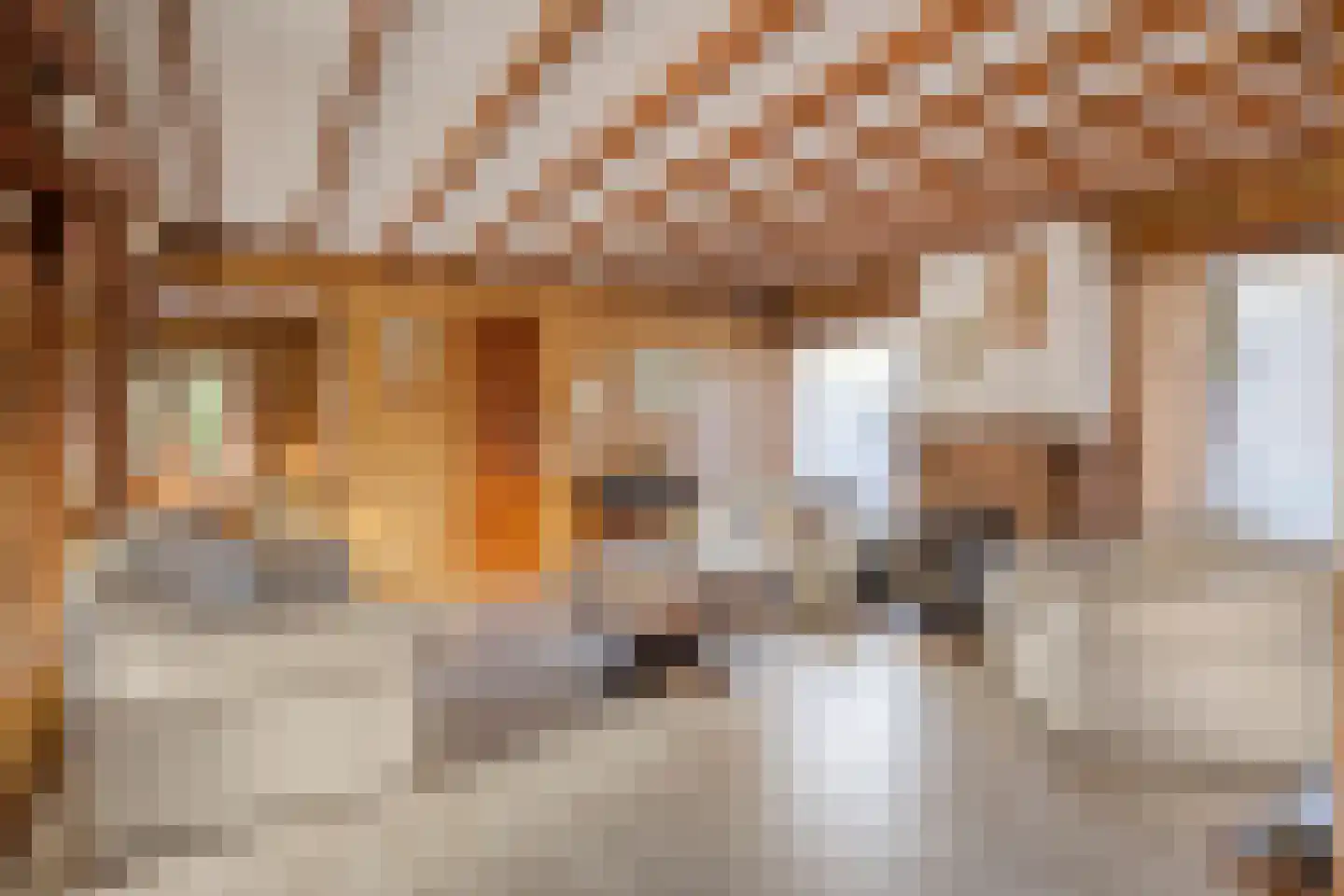 Schaluinen 11 b 298 Baarle-Nassau thumbnail 9