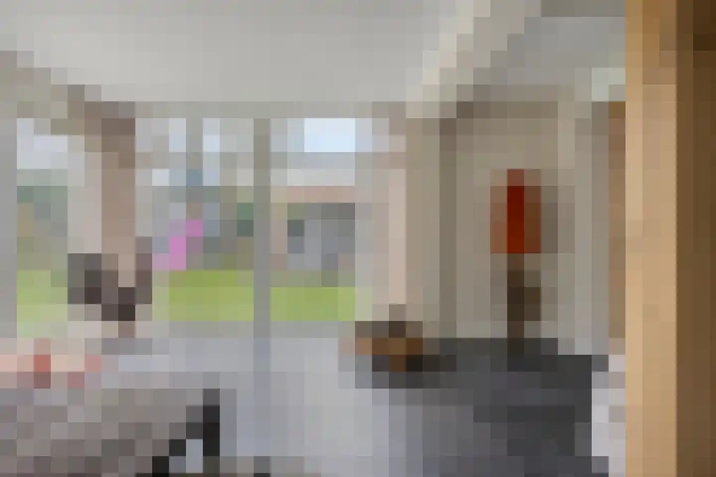 Schaluinen 11 b 309 Baarle-Nassau thumbnail 10