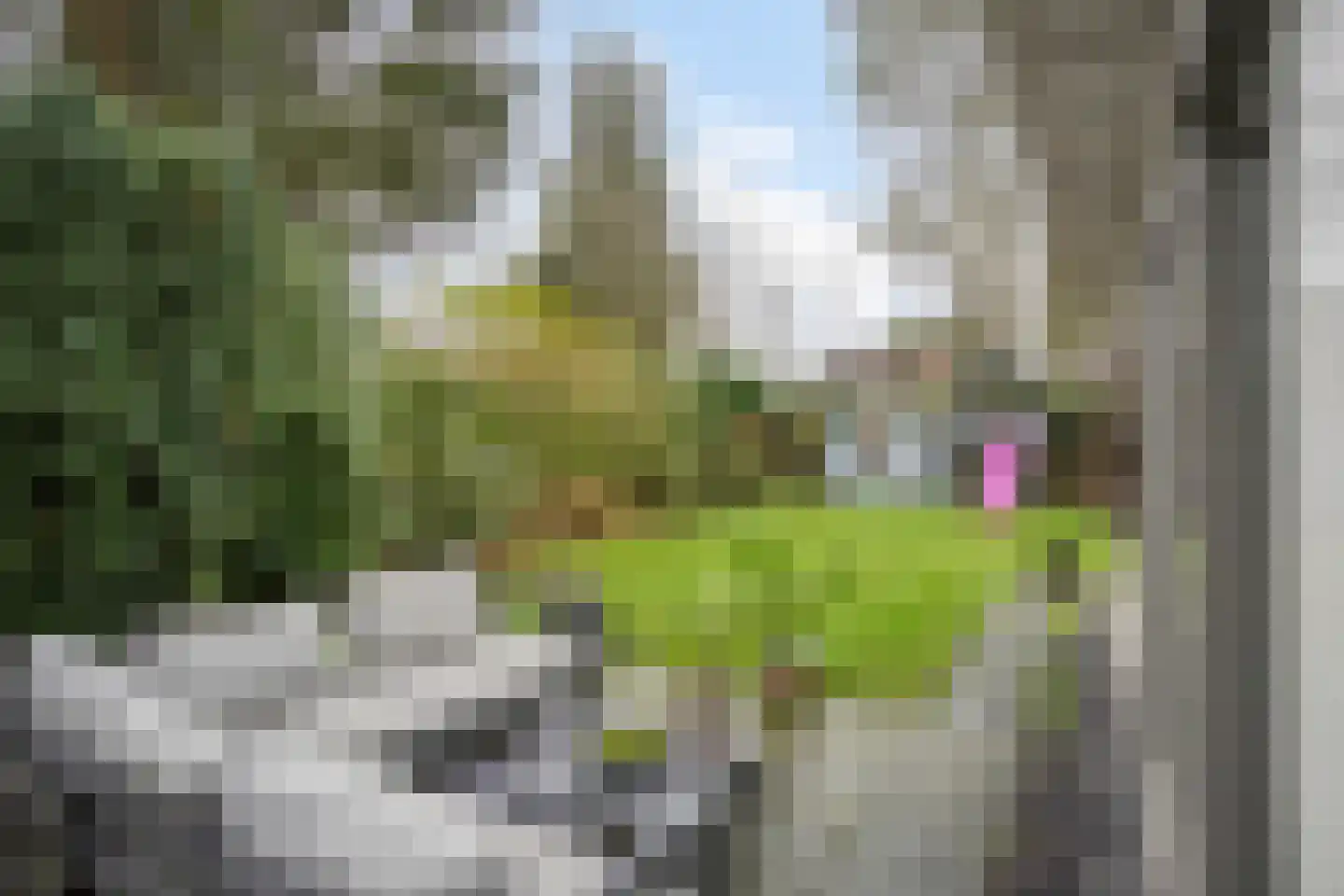 Schaluinen 11 b 309 Baarle-Nassau thumbnail 22