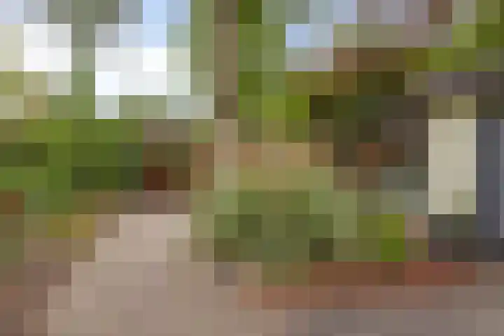 Schaluinen 11 b 316 Baarle-Nassau thumbnail 25