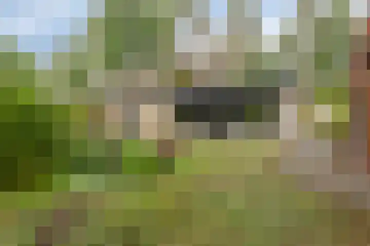 Schaluinen 11 b 316 Baarle-Nassau thumbnail 27