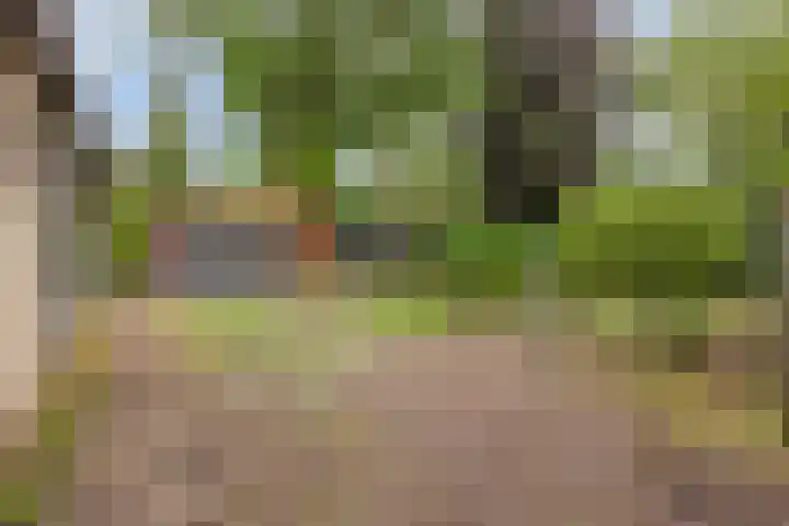 Schaluinen 11 b 316 Baarle-Nassau thumbnail 29