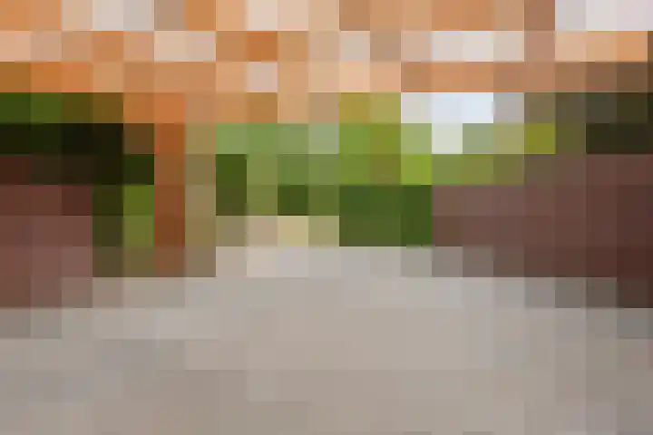Schaluinen 11 b 316 Baarle-Nassau thumbnail 31
