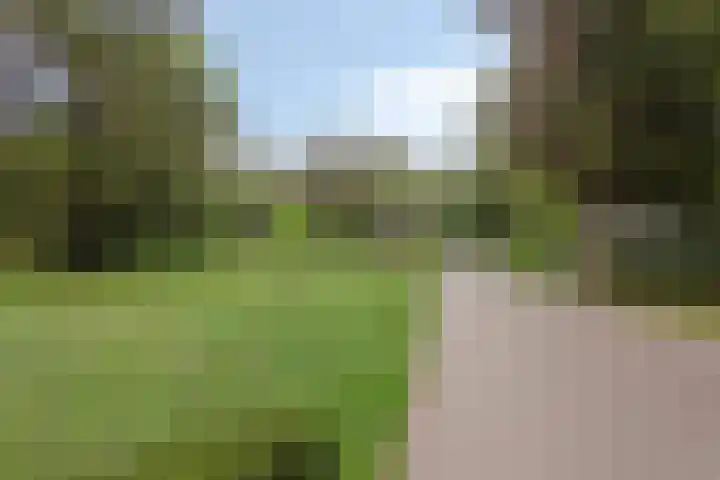 Schaluinen 11 b 316 Baarle-Nassau thumbnail 32
