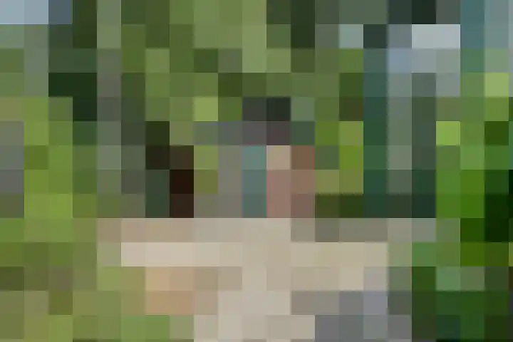 Schaluinen 11 b 337 Baarle-Nassau thumbnail 29