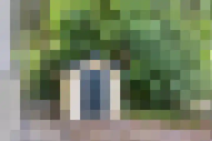 Schaluinen 11 b 337 Baarle-Nassau thumbnail 31