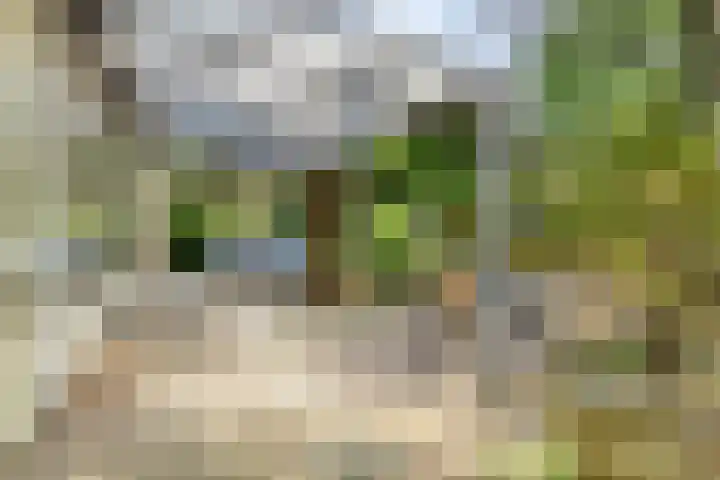 Schaluinen 11 b 337 Baarle-Nassau thumbnail 32