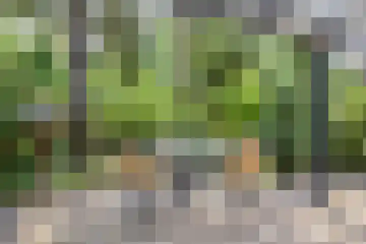 Schaluinen 11 b 337 Baarle-Nassau thumbnail 33