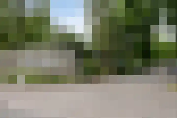 Schaluinen 11 b 337 Baarle-Nassau thumbnail 35