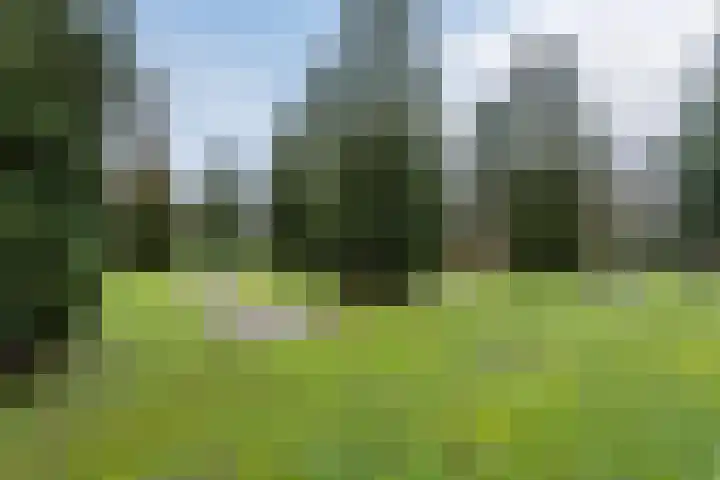 Schaluinen 11 b 337 Baarle-Nassau thumbnail 37