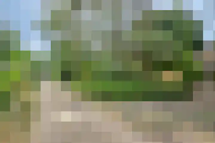 Schaluinen 11 b 337 Baarle-Nassau thumbnail 4