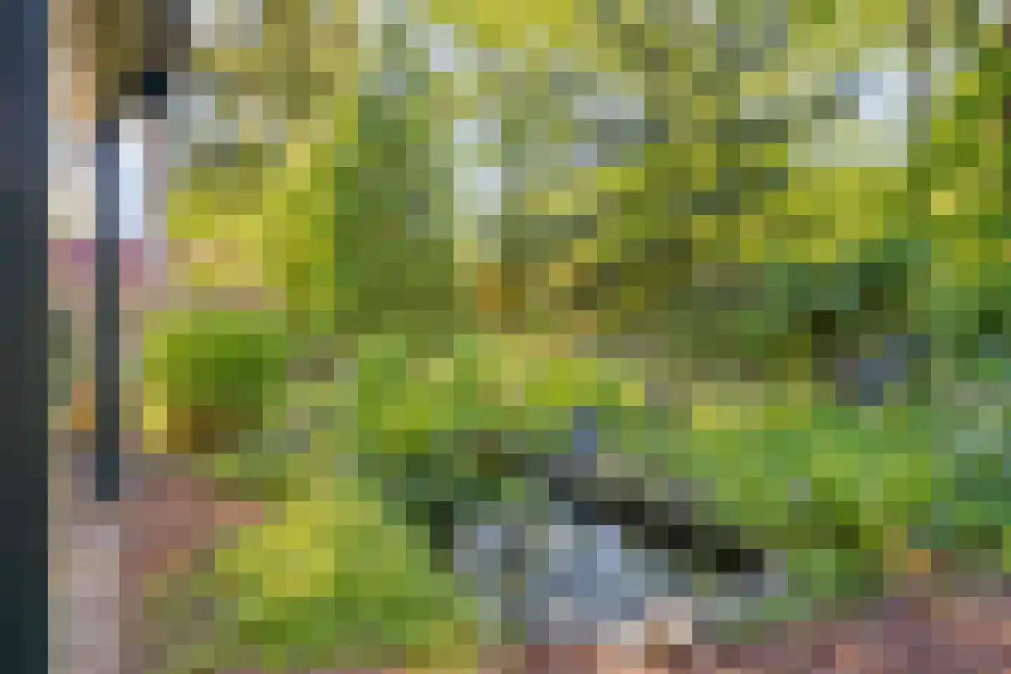 Schaluinen 11 b 357 Baarle-Nassau thumbnail 34