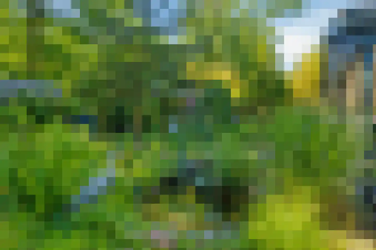 Schaluinen 11 b 357 Baarle-Nassau thumbnail 40