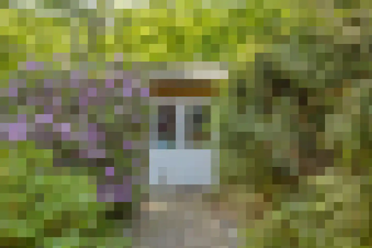 Schaluinen 11 b 357 Baarle-Nassau thumbnail 41