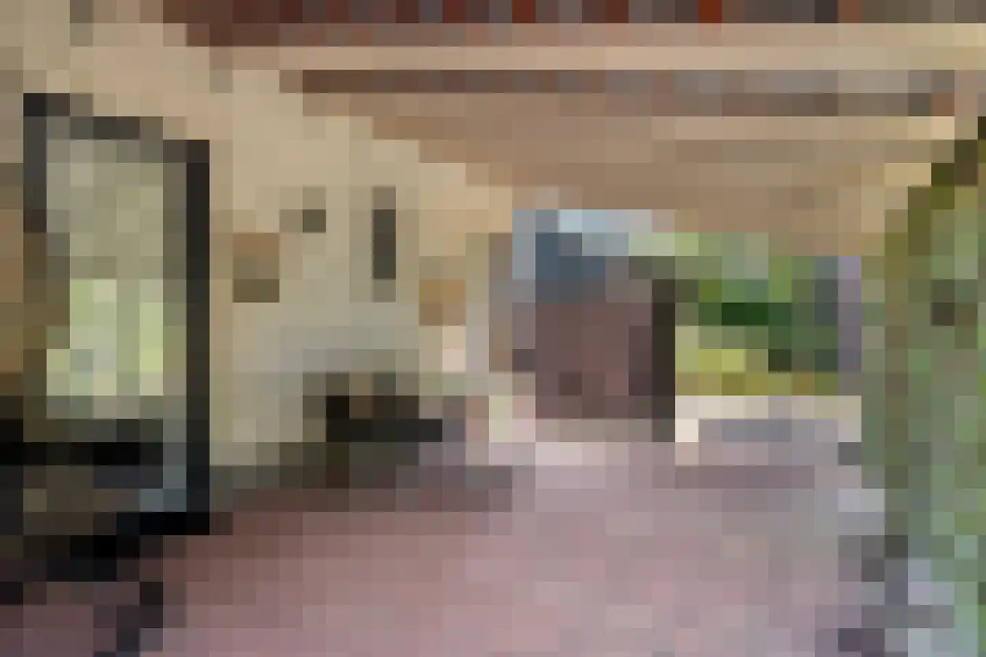 Schaluinen 11 b 360 Baarle-Nassau thumbnail 16