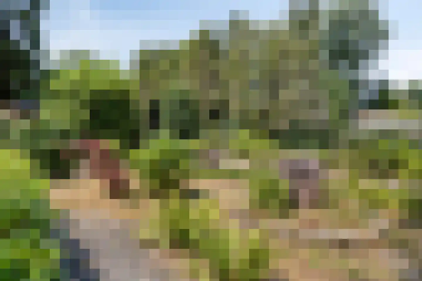Schaluinen 11 b 360 Baarle-Nassau thumbnail 18