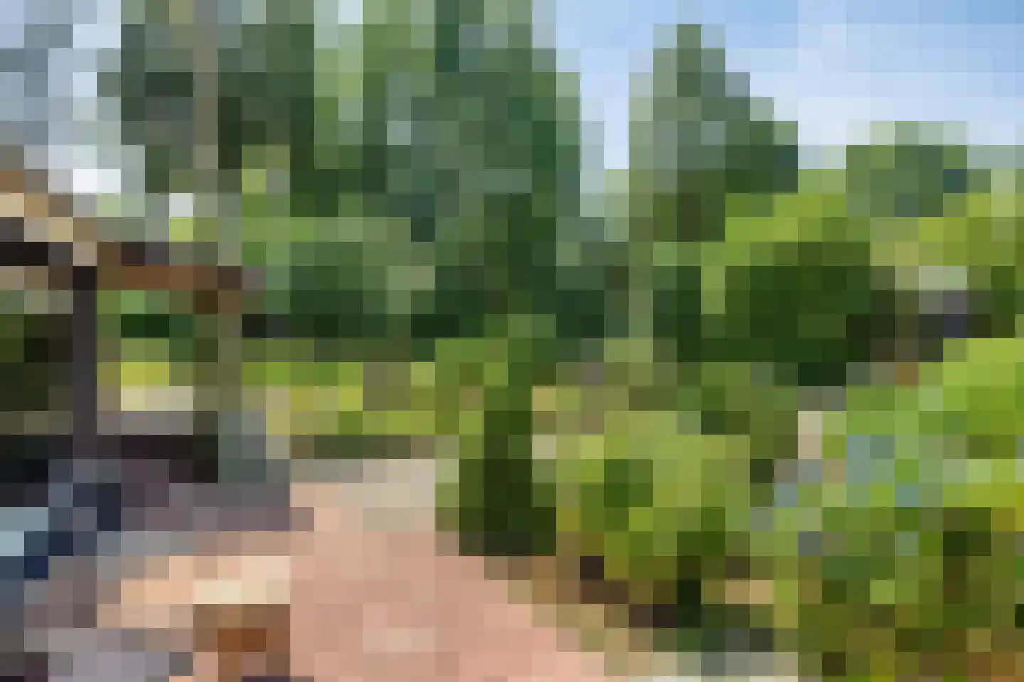 Schaluinen 11 b 360 Baarle-Nassau thumbnail 19