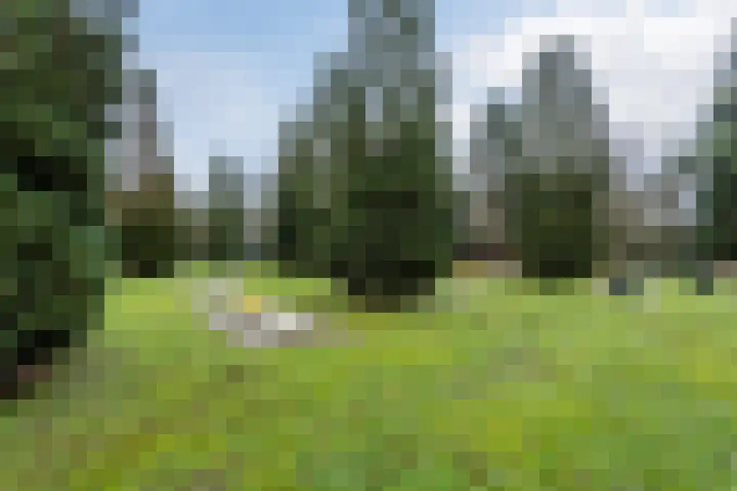 Schaluinen 11 b 360 Baarle-Nassau thumbnail 24