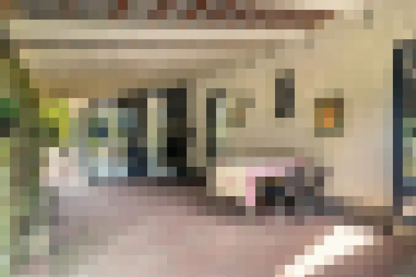 Schaluinen 11 b 360 Baarle-Nassau thumbnail 4