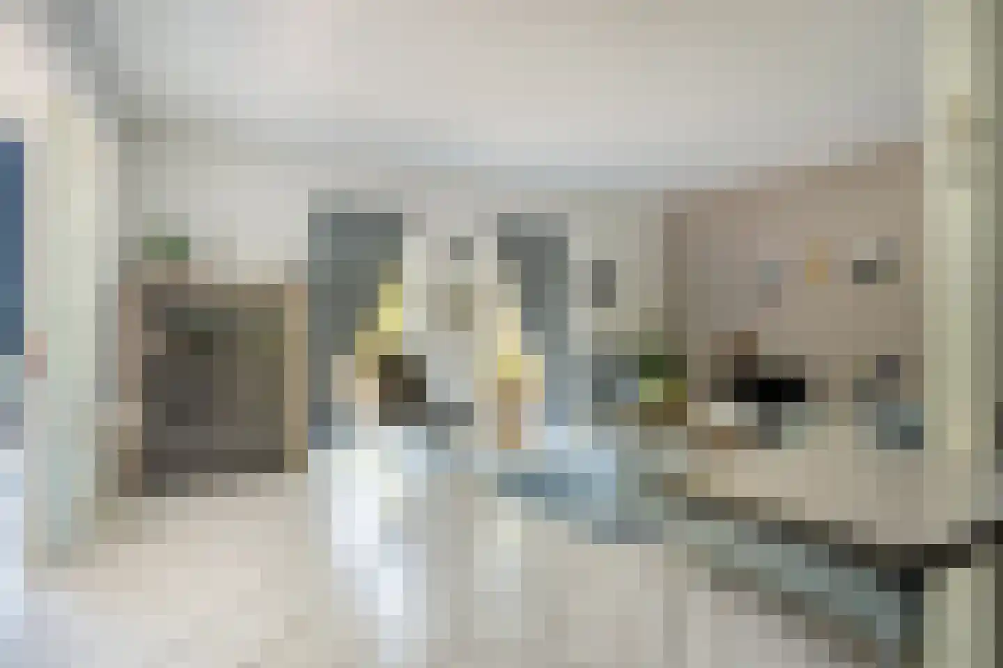 Schaluinen 11 b 360 Baarle-Nassau thumbnail 6