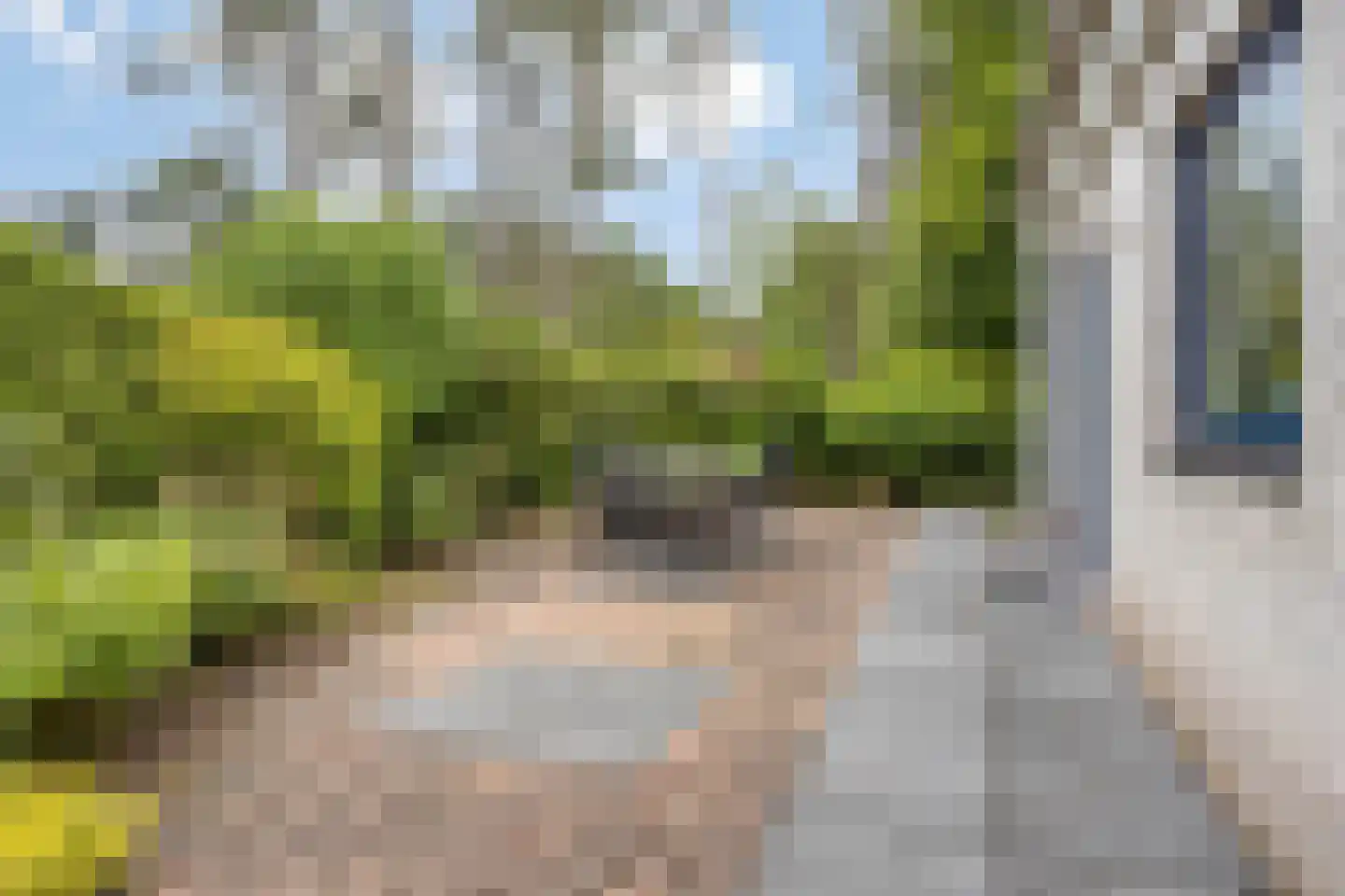 Schaluinen 11 b 371 Baarle-Nassau thumbnail 36