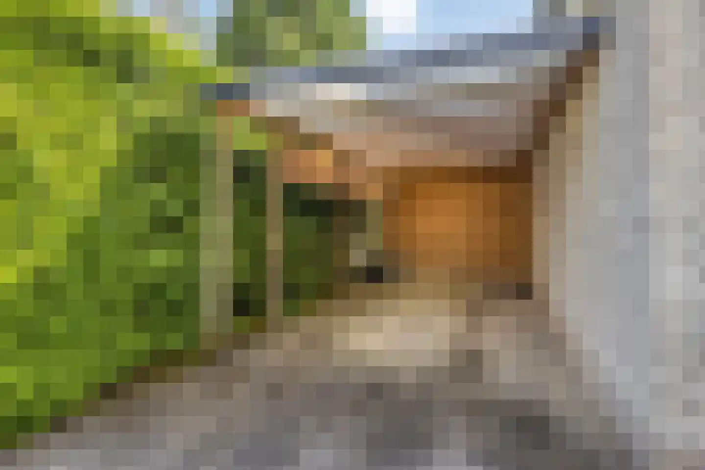 Schaluinen 11 b 371 Baarle-Nassau thumbnail 42