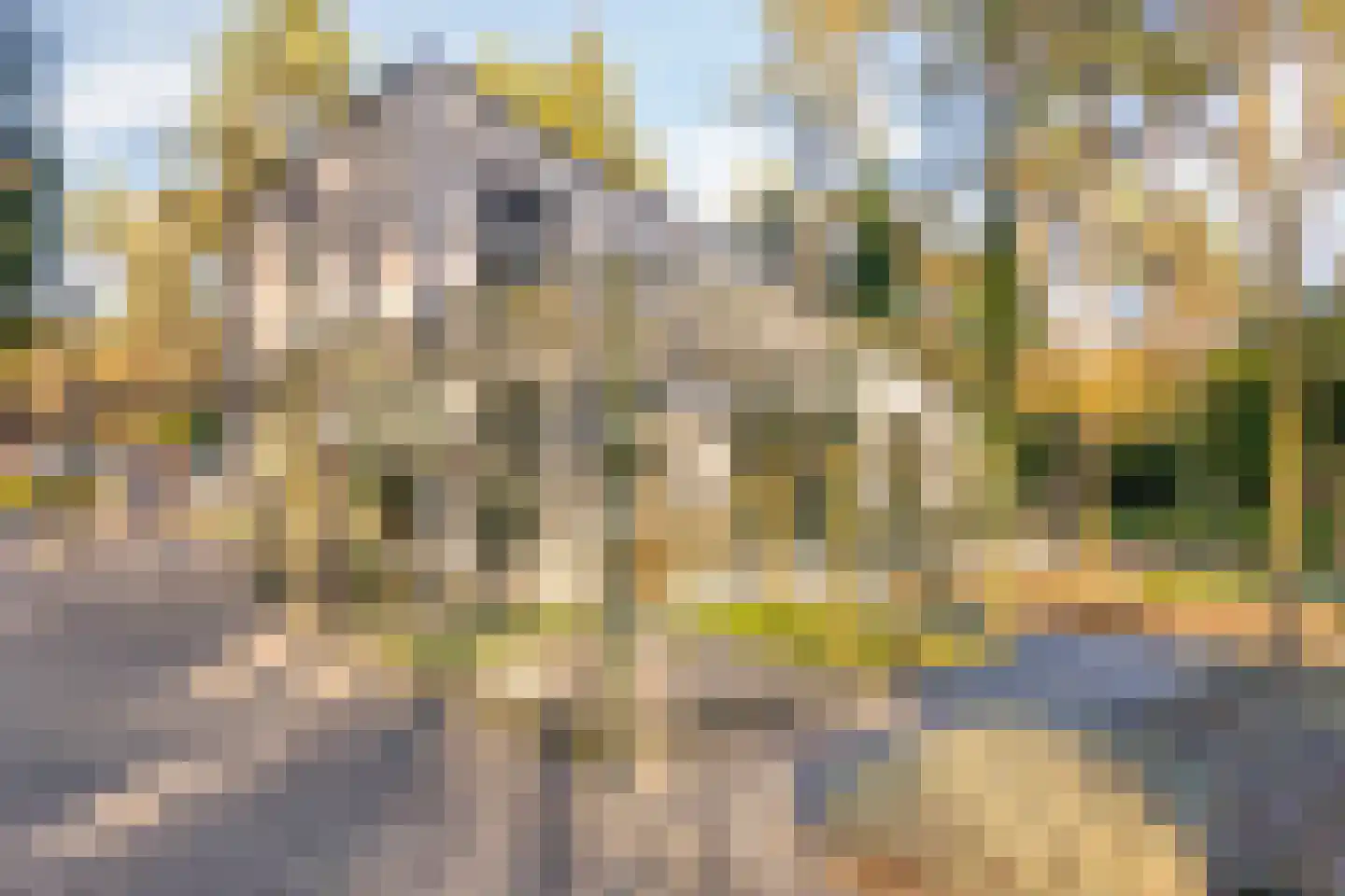 Schaluinen 11 b 379 Baarle-Nassau thumbnail 25