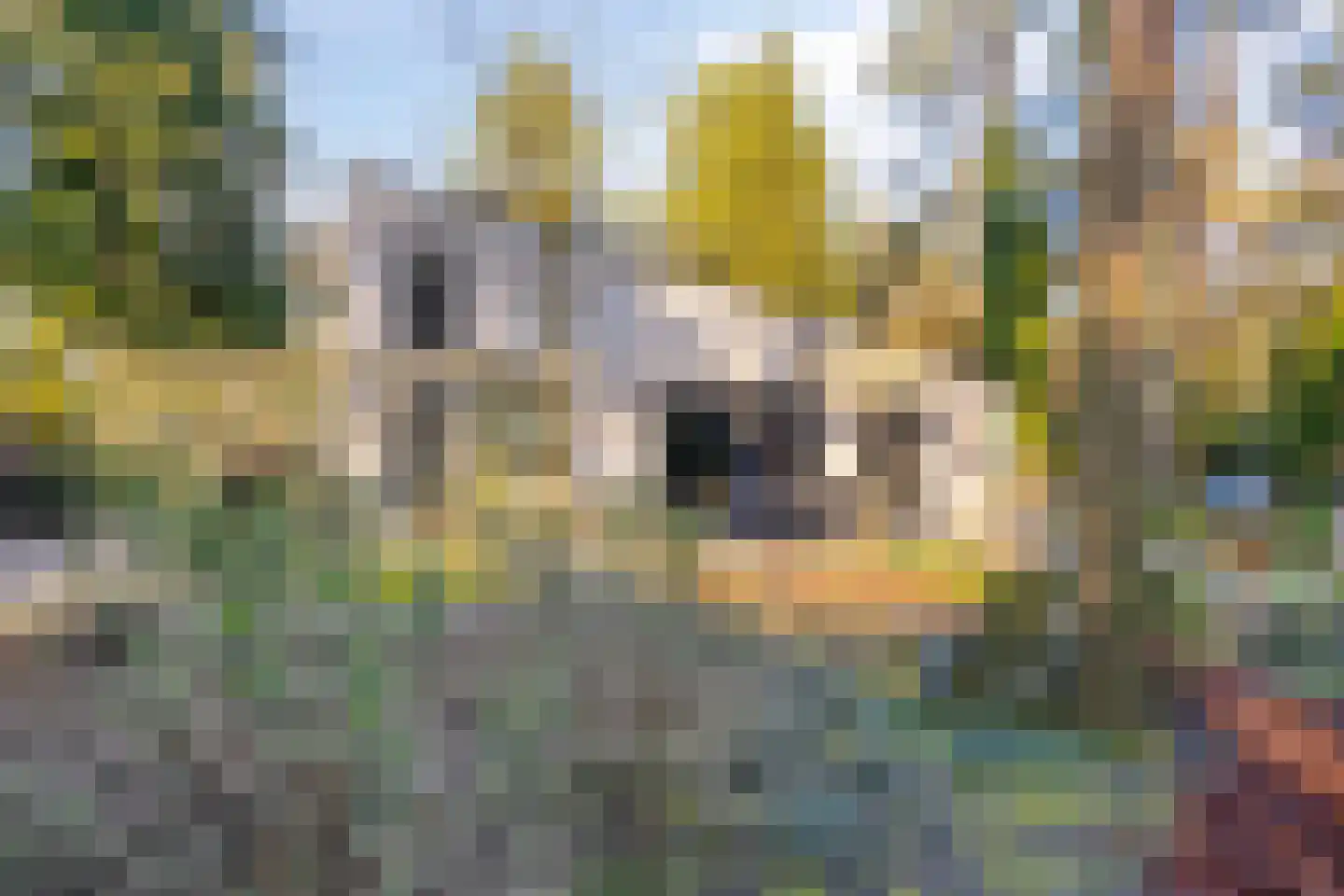 Schaluinen 11 b 379 Baarle-Nassau thumbnail 26