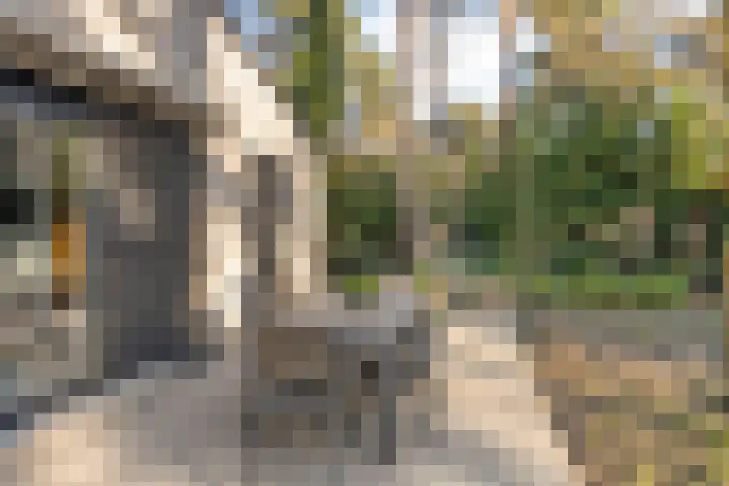 Schaluinen 11 b 379 Baarle-Nassau thumbnail 27