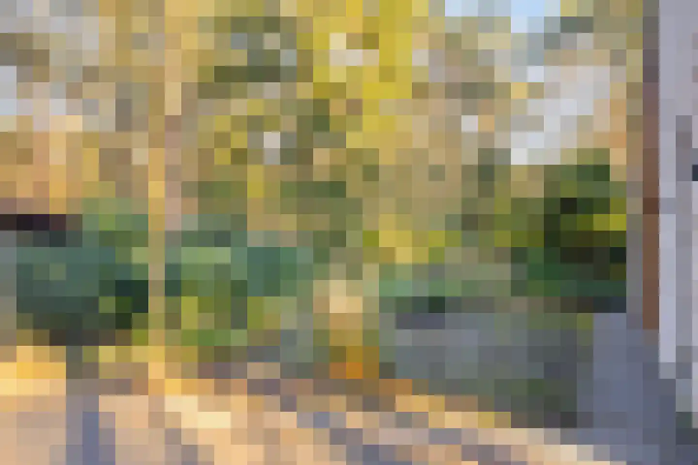 Schaluinen 11 b 379 Baarle-Nassau thumbnail 29
