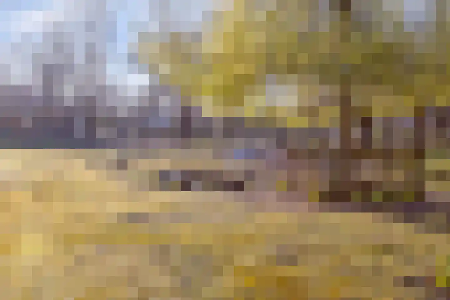 Schaluinen 11 b 379 Baarle-Nassau thumbnail 30