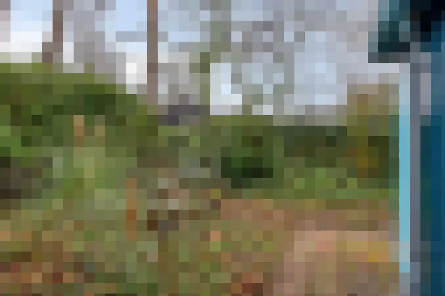 Schaluinen 11 b 408 Baarle-Nassau thumbnail 16